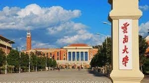 雲南大學